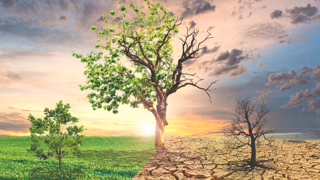 36.9 peut mieux faire