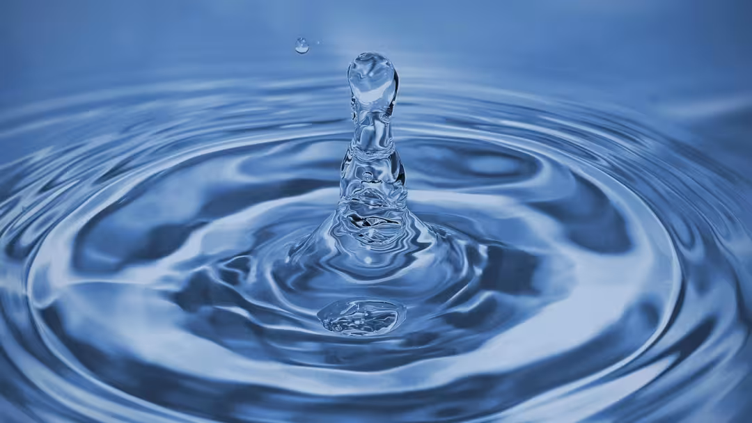goutte